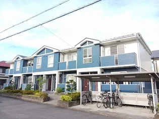 リトルグリーブの画像