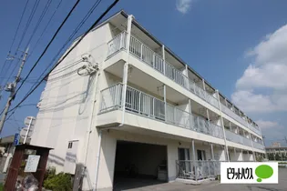 RIVERSIDE11の画像