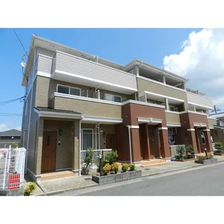 コータ コートDの画像