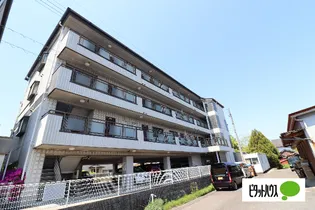 ダーリングⅢの画像