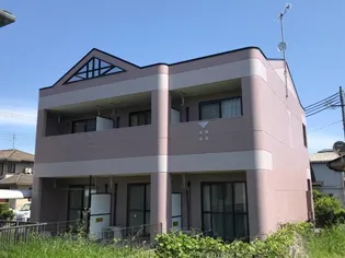 ブルーム Tの画像