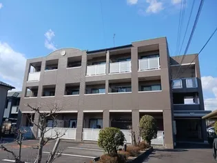 コモド カーサの画像