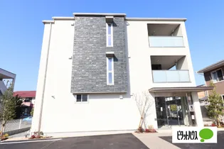 椛コートの画像