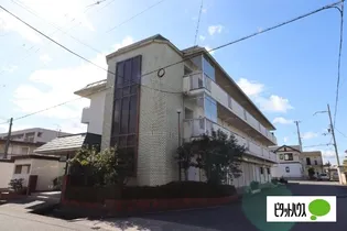 滋賀県近江八幡市白鳥町【マンション】の外観