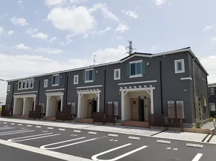 プルメリアIIの画像