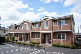 シフォンの画像