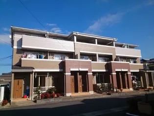 コータ コートDの画像