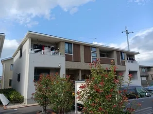 グリーン琥珀近江IIの画像