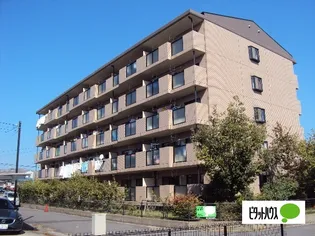 グランバリューの画像