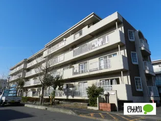 Nハイツ24【4階】の外観