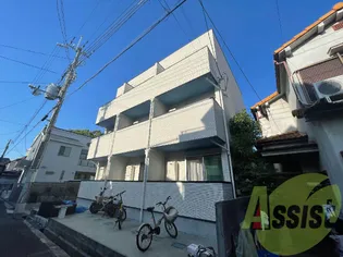 SHOWDO 園田の画像