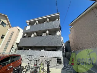 ディアンサス立花の画像