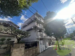 SANTO LALUZ SONODAHIGASHIの画像