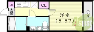 LUMINOUSGRANDE【3階】の間取り
