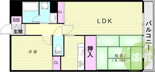 プラマーⅡ番館【504号室】の間取り