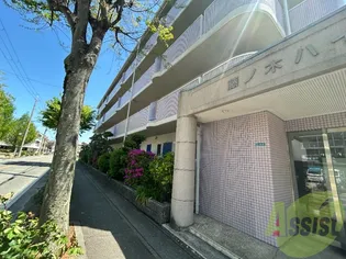 藤ノ木ハイツ【1階】の外観