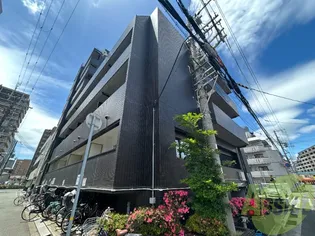 シロハイヌ尼崎の画像