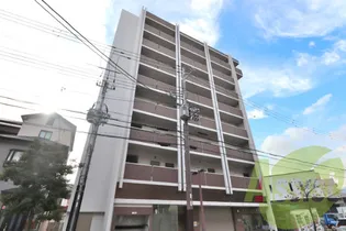 VIVACE G8の画像