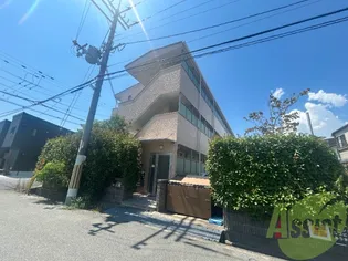 アンプルールフェールフリージアの画像