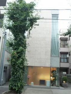 GINKGO AVEの画像