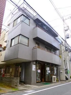 パインツリーの画像