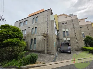 ノアズアークの画像