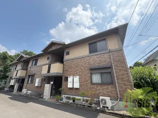 エクセルクシロの画像