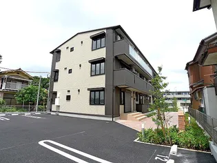 ボスコの画像