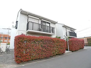 パインデールBの画像