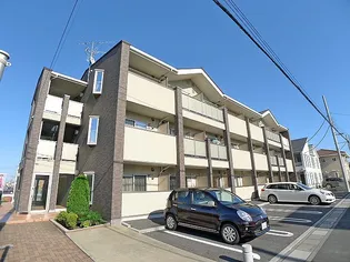 プリムローズ IIの画像