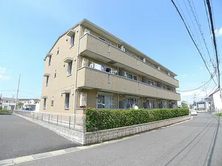 シャルマンドミールBの画像