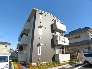 ゴールドパストラルVIIIの画像