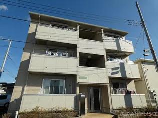 サッビアの画像