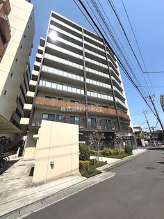 SOPHIA HILLSの画像