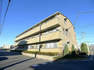 エスペランサの画像