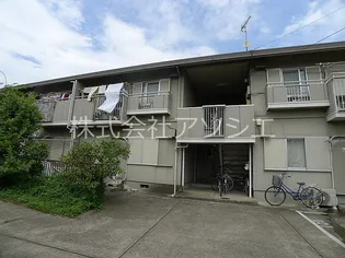 タウニィ長谷川の画像