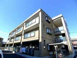 ロンググレースの画像