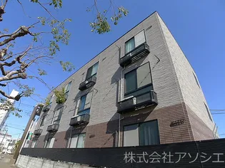 アムールプリエの画像