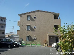 グレイスの画像