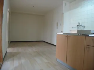 メゾンラフォーレII【3階】のキッチン