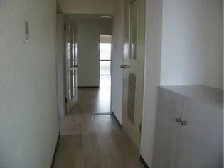 メゾンラフォーレII【3階】の玄関