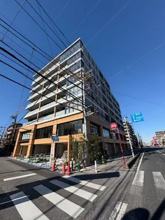 PJ TREE NESTの画像