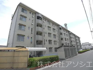 ライフジョイ大袋の画像