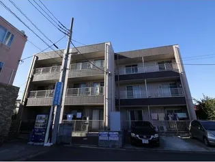 アンプルール フェール ベルツリー3の画像