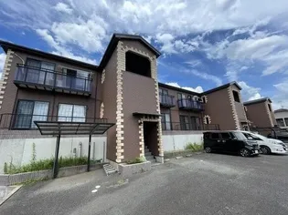 テンプスメイソンの画像