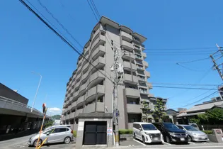 シャトレ天拝の画像