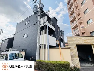 サニーガーデン紫の画像