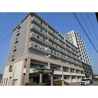 セトルヌーヴォの画像