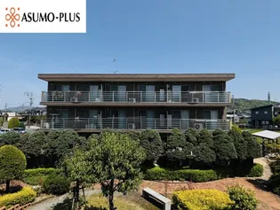 ステラ23の画像