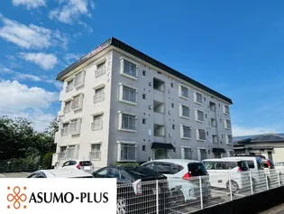 観世ハイツの画像